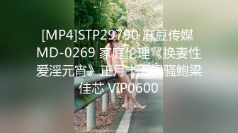 [MP4]STP29790 麻豆传媒 MD-0269 家庭伦理《换妻性爱淫元宵》正月十五操骚鲍梁佳芯 VIP0600