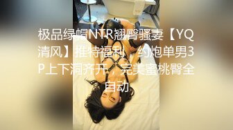 极品绿帽NTR翘臀骚妻【YQ清风】推特福利，约炮单男3P上下洞齐开，完美蜜桃臀全自动