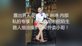 露出界天花板女神 琳琳 内部私拍专享！电梯口啪啪招陌生路人揩油摸B 惊呆外卖小哥！