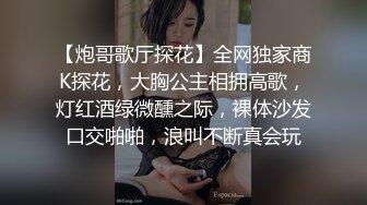 极限露出人气女神【爱吃菠萝】私拍，男公厕捆绑挑战，全裸街边行走，与摄影师户外四处做爱