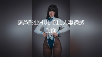 葫芦影业HUL-011人妻诱惑封面