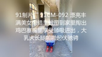 最新流出，推特顶级SS级巨乳性感女神【小鲅鱼】私人定制 道具紫薇、户外露出、各种挑逗裸舞，炸裂 (1)