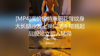 [MP4]高价模特兼职花臂纹身大长腿沙发上操口活不错翘起屁股站立后入猛操