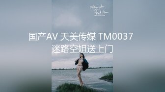 国产AV 天美传媒 TM0037 迷路空姐送上门