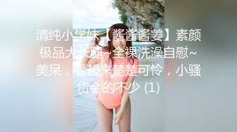 【小宝寻花】包臀T恤小姐姐，美腿笔直的不像话，被小宝一顿狂艹！--4K字幕版 (1)