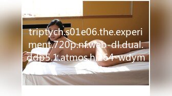 triptych.s01e06.the.experiment.720p.nf.web-dl.dual.ddp5.1.atmos.h.264-wdym