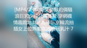 国产麻豆AV 麻豆女神微爱视频 豪放刺青女孩 完美身形坏坏气质 等你来政府