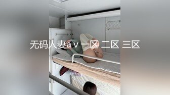 无码人妻aⅴ一区 二区 三区