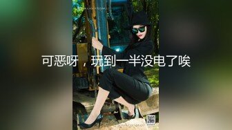 0633出轨少妇的口活