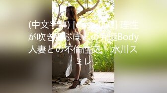 (中文字幕) [dass-001] 理性が吹き飛ぶほどの究極Body人妻との不倫性交。 水川スミレ