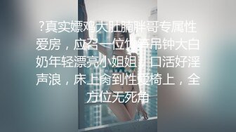 沈先生探花-骚气御姐二回战