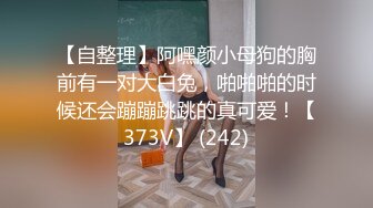 「自拍泄密」吉林反差女大学生与男友啪啪视频流出，女主被调教成母狗叼狗链道具自慰情趣白丝 (1)