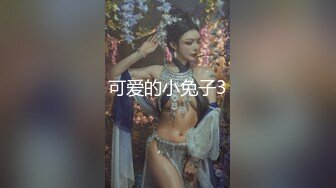 可爱的小兔子3