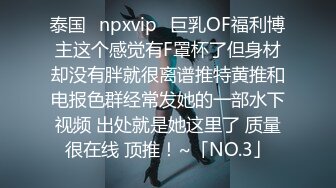 泰国⭐npxvip⭐巨乳OF福利博主这个感觉有F罩杯了但身材却没有胖就很离谱推特黄推和电报色群经常发她的一部水下视频 出处就是她这里了 质量很在线 顶推！~「NO.3」