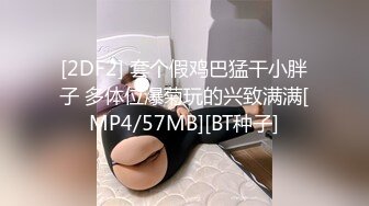 (BC-AA-236)S049后续..再次偶遇花裙美女逛街..弯腰时被抄底粉内