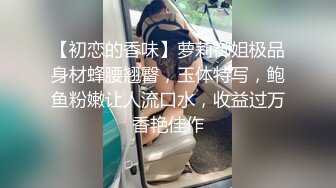 91茄子 骚货女租客黑丝勾引房东激情偷情