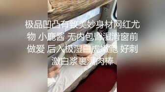 天美传媒TMG139尾随迷奸黑丝OL少妇