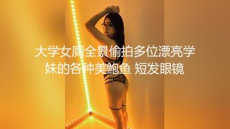 女上位插大奶少妇