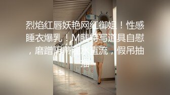 后入肥臀骚货，淫叫一浪又一浪