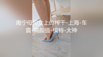 南宁母狗女上位榨干-上海-车震-高颜值-模特-大神