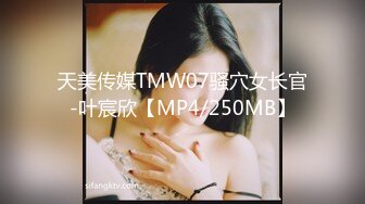 天美传媒TMW07骚穴女长官-叶宸欣【MP4/250MB】