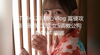 STP34123 糖心Vlog 富婆攻略手册 第二部 女S调教公狗 NANA 娜娜