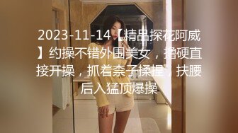 2023-11-14【精品探花阿威】约操不错外围美女，撸硬直接开操，抓着柰子揉捏，扶腰后入猛顶爆操