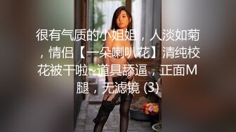 很有气质的小姐姐，人淡如菊，情侣【一朵喇叭花】清纯校花被干啦~道具舔逼，正面M腿，无滤镜 (3)