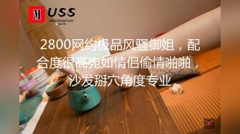 2800网约极品风骚御姐，配合度很高宛如情侣偷情啪啪，沙发掰穴角度专业