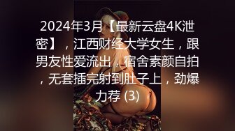 [2DF2] 东北壮男嫖妓老司机小李哥路边搭讪站街卖淫女回出租屋吃快餐 - soav_evMerge[MP4/159MB][BT种子]