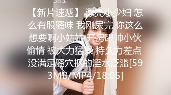 91制片厂 ZCM012 榨精女仆的情色清洁 李娜娜