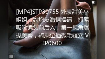 丰乳肥臀 经典身材 OnlyFans - Ariasix 最新流出资源合集【208V】 (21)