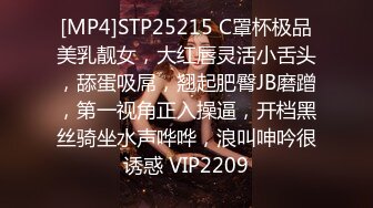 [MP4]STP25215 C罩杯极品美乳靓女，大红唇灵活小舌头，舔蛋吸屌，翘起肥臀JB磨蹭，第一视角正入操逼，开档黑丝骑坐水声哗哗，浪叫呻吟很诱惑 VIP2209