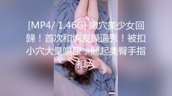 IDG5397 爱豆传媒 OL御姐的极致诱惑 丽萨