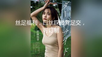 李文雯.凌辱凡尔赛文学少女.麻豆传媒映画原创中文原版收藏