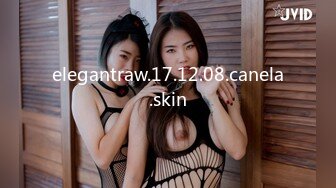 elegantraw.17.12.08.canela.skin