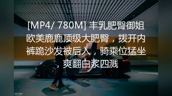 【勤務中】ーサボり密交ー 営業回り中の車内で隣に座る気の強い美人同僚に白昼堂々痴女られ二人でサボってます。 岬奈奈美