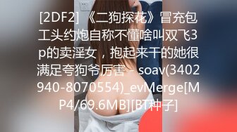 [2DF2] 《二狗探花》冒充包工头约炮自称不懂啥叫双飞3p的卖淫女，抱起来干的她很满足夸狗爷厉害 - soav(3402940-8070554)_evMerge[MP4/69.6MB][BT种子]