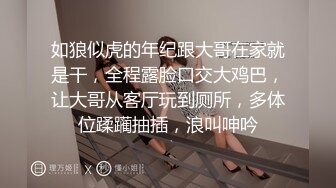 十一月最新流出 魔手外购极品厕拍写字楼女厕《挂闪美女》连衣裙气质白领美女被挂闪拍逼逼大森林看得一清二楚