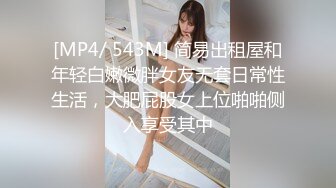 国产麻豆AV 兔子先生监制 TZ055 秘密女搜查官 中野惠子